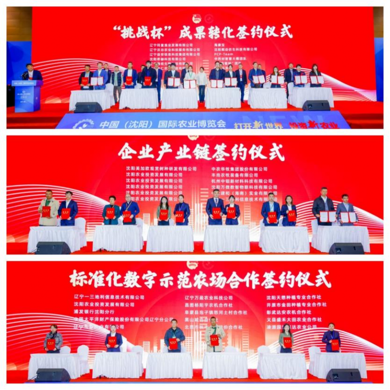 图片17