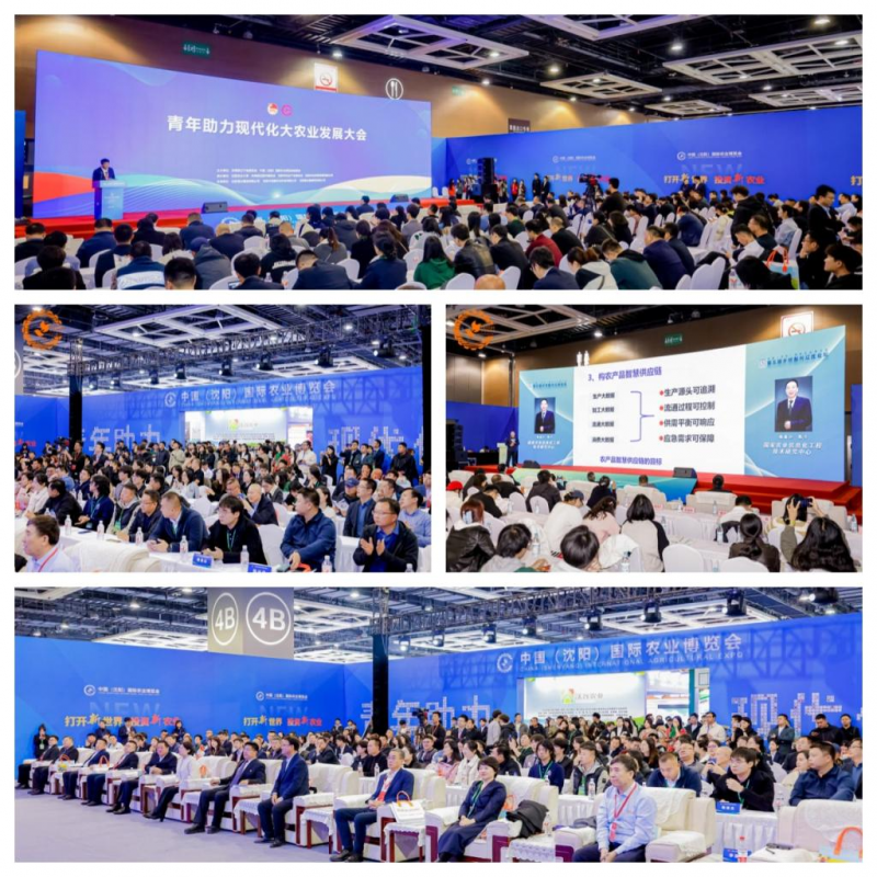 图片18