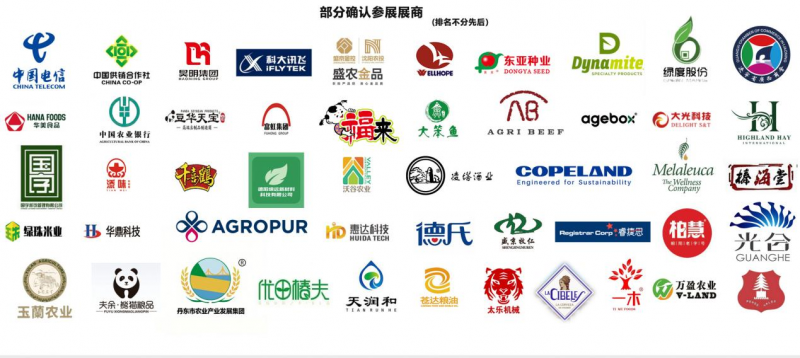 图片19